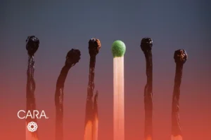 Change Saturation Employee Burnout Solutions For Leaders - Sidra Family Hospital Change Saturation Employee Burnout Solutions For Leaders