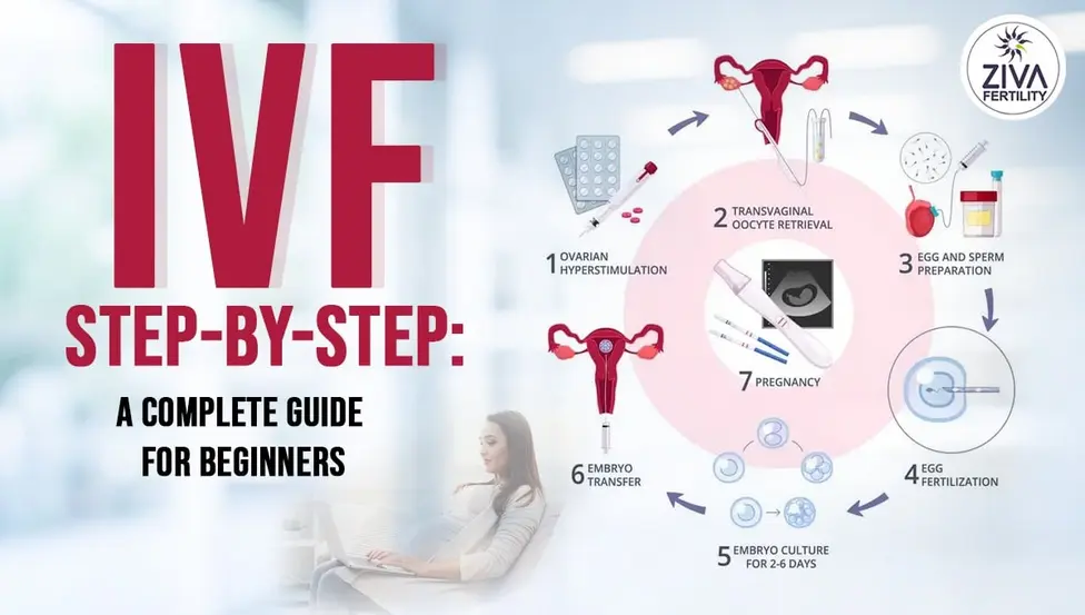 Ivf Step By Step A Complete Guide For Beginners