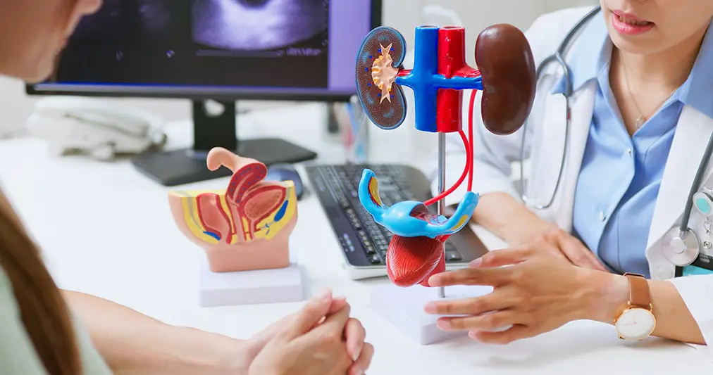 How Aging Impacts Lower Urinary Tract Symptoms