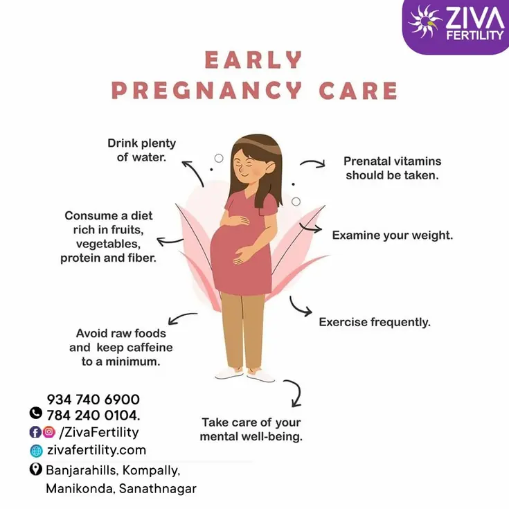 Early Pregnancy Care Key Practices For A Healthy Start