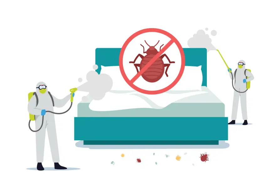 Health Advisory Dengue Virus Infection In U S Travelers