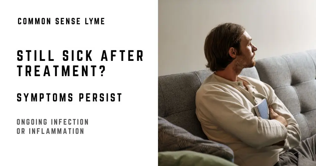 Symptoms Of Ptlds Lyme