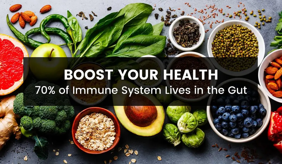 Strengthen Your Immune System In The Gut