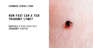 Have You Been Bitten By A Partially Fed Tick - Sidra Family Hospital Have You Been Bitten By A Partially Fed Tick