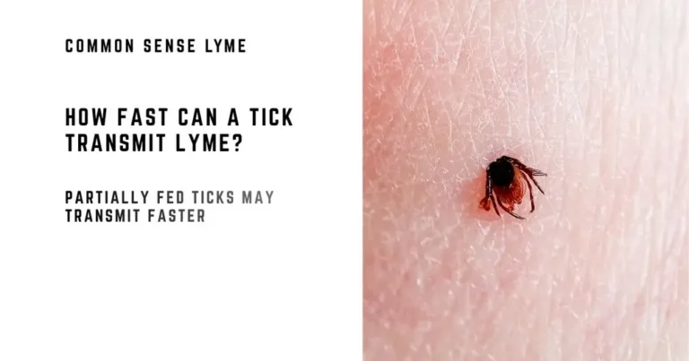 Have You Been Bitten By A Partially Fed Tick