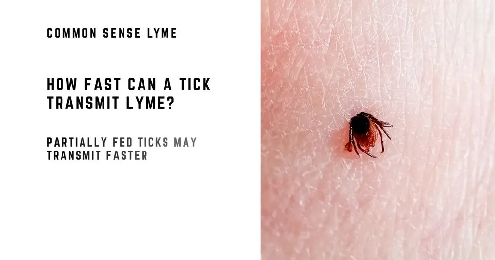 Have You Been Bitten By A Partially Fed Tick